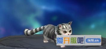 剑雨江湖灵猫1升2进阶数据介绍