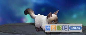 剑雨江湖灵猫2升3进阶数据介绍