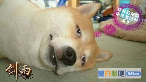 《剑雨江湖》浪漫攻略全解码