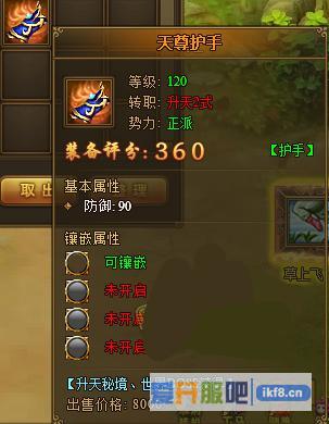 热血江湖传天尊护手