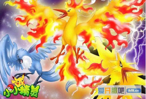 《小小精灵》三大神鸟Mega来袭