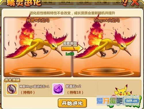 《小小精灵》三大神鸟Mega来袭