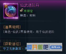 神仙劫仙武进阶丹