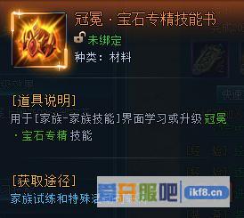 神仙劫冠冕宝石专精技能书