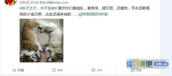 《阴阳师》发起爱心牵爪挑战 网友大开脑洞玩创意！
